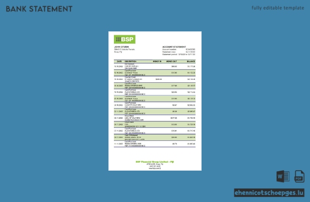 Beispiel-Excel-Vorschau eines Kontoauszugs der Fiji Bank of South Pacific